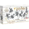 Harry Potter: Catch The Snitch - National Quidditch Team (Exp.)
