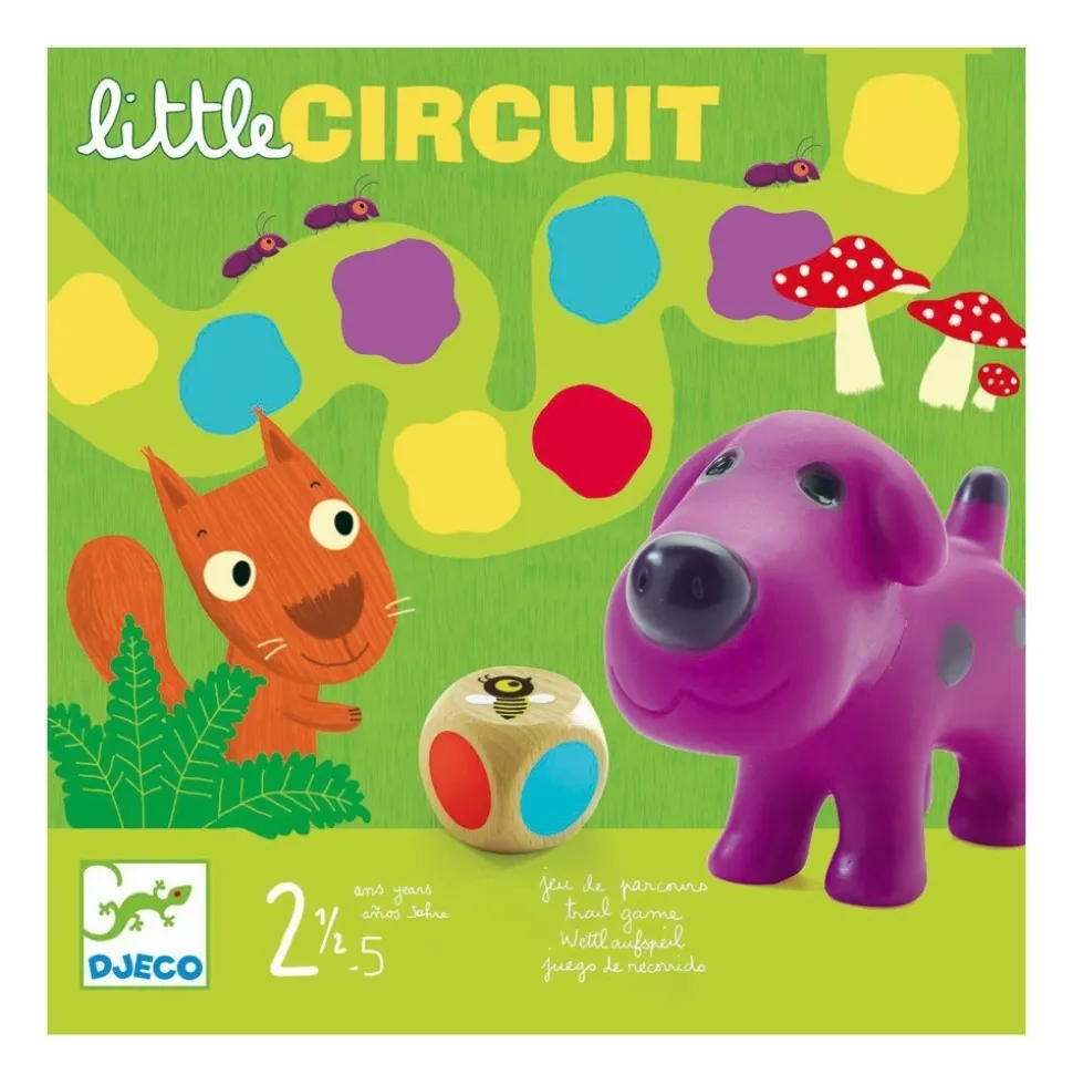 Little Circuit