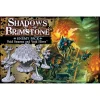 Shadows Of Brimstone: Void Swarms And Void Hives (Exp.)